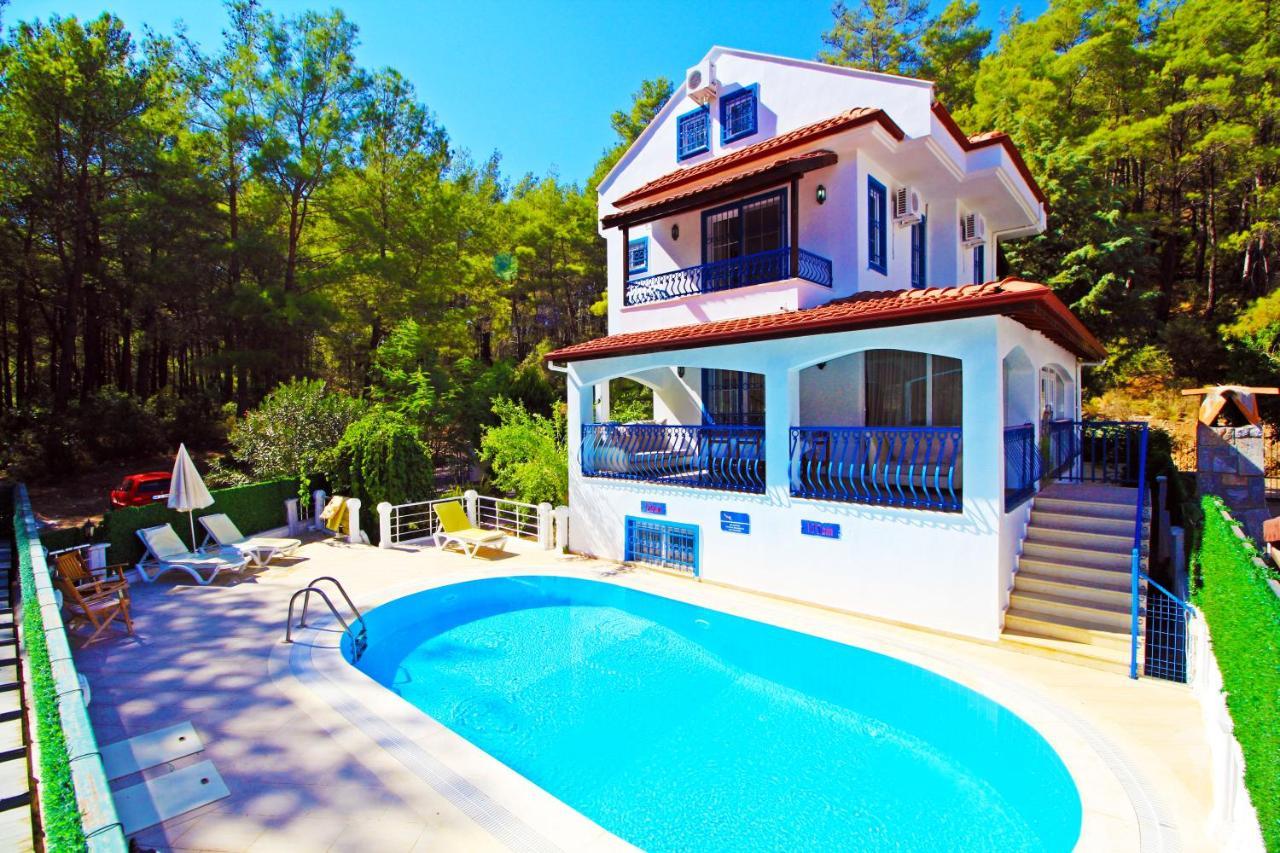 Brookland Paris, Ozel Havuzlu, Villa